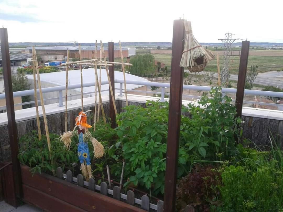Atico Spa Rural Alcarraz Luaran gambar